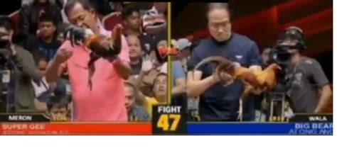 pitmaster 2020 fights.
